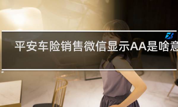 平安车险销售微信显示AA是啥意思