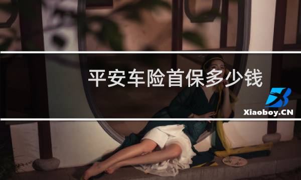 平安车险首保多少钱