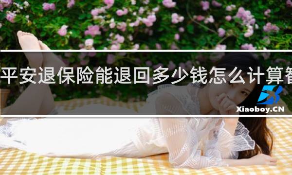 平安退保险能退回多少钱怎么计算智慧星