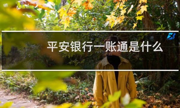 平安银行一账通是什么