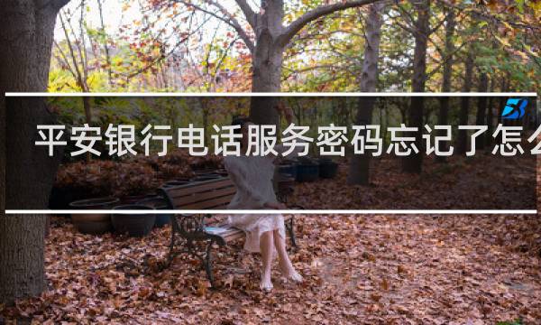 平安银行电话服务密码忘记了怎么办
