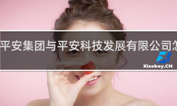 平安集团与平安科技发展有限公司怎么样