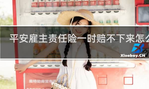 平安雇主责任险一时赔不下来怎么办