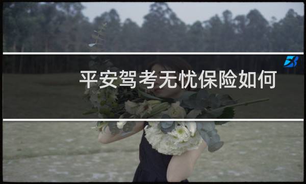平安驾考无忧保险如何