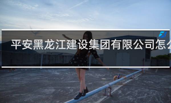 平安黑龙江建设集团有限公司怎么样