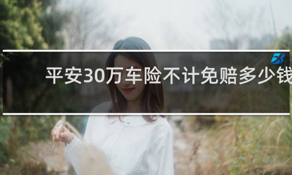平安30万车险不计免赔多少钱