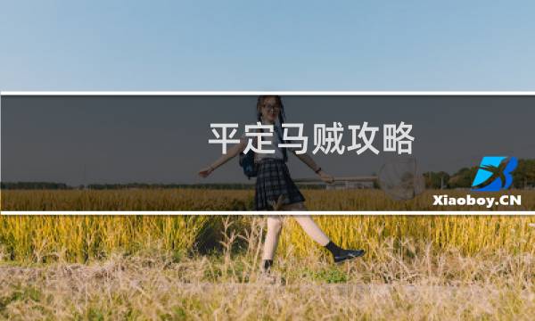 平定马贼攻略