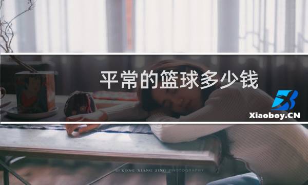 平常的篮球多少钱