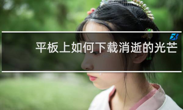 平板上如何下载消逝的光芒