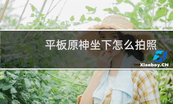 平板原神坐下怎么拍照
