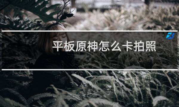 平板原神怎么卡拍照