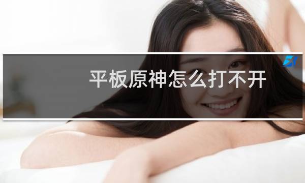 平板原神怎么打不开
