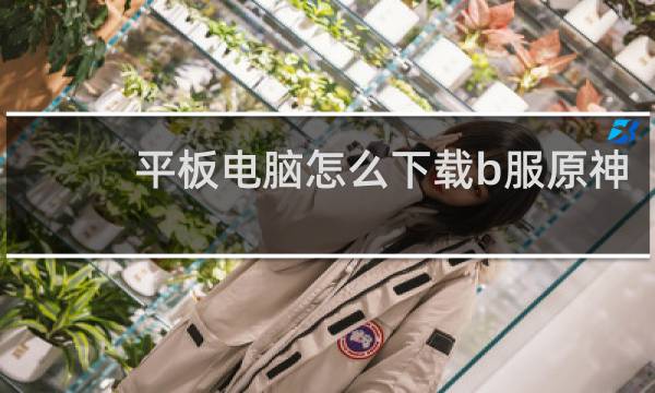 平板电脑怎么下载b服原神