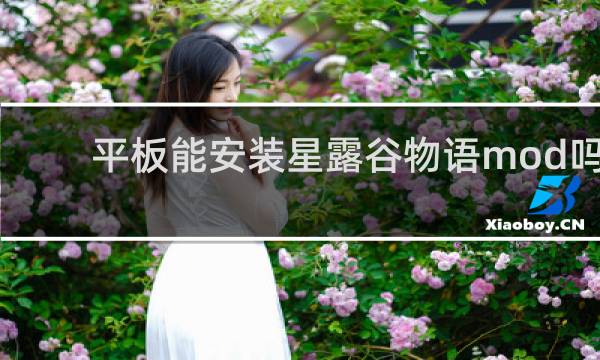 平板能安装星露谷物语mod吗