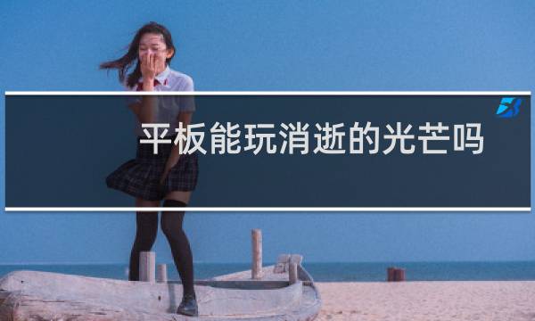 平板能玩消逝的光芒吗