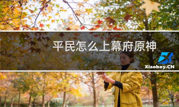 平民怎么上幕府原神