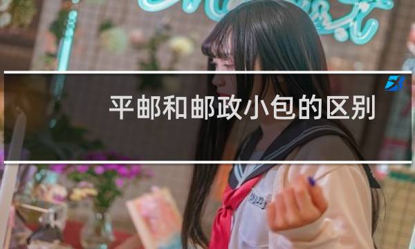 平邮和邮政小包的区别