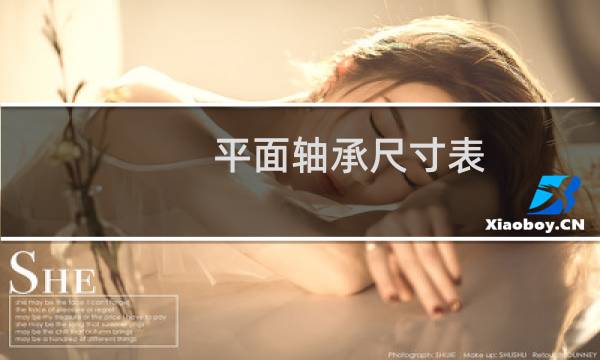 平面轴承尺寸表