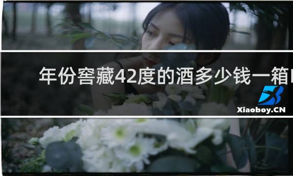 年份窖藏42度的酒多少钱一箱R