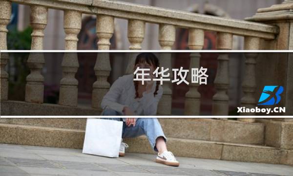 年华攻略