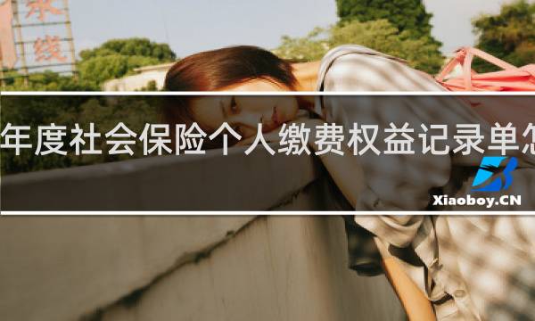 年度社会保险个人缴费权益记录单怎么看