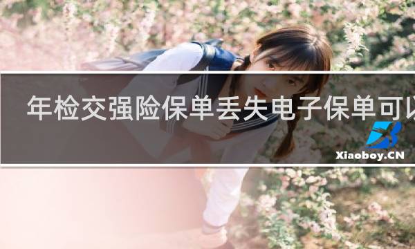 年检交强险保单丢失电子保单可以吗