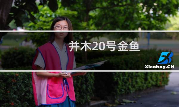 并木20号金鱼
