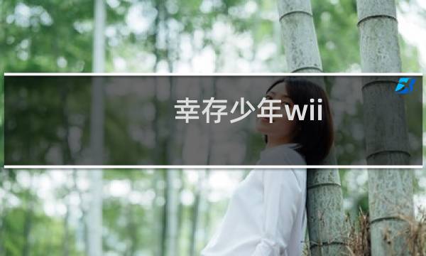 幸存少年wii 攻略