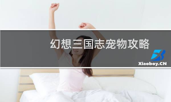幻想三国志宠物攻略