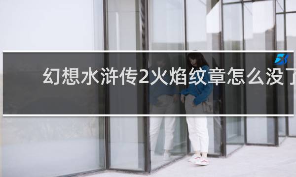 幻想水浒传2火焰纹章怎么没了