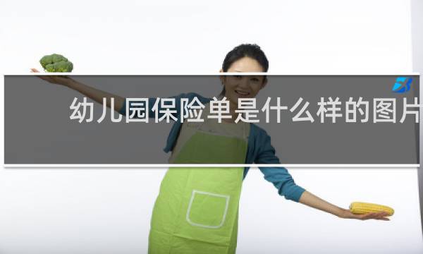 幼儿园保险单是什么样的图片