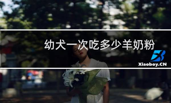 幼犬一次吃多少羊奶粉