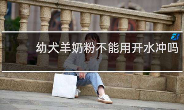 幼犬羊奶粉不能用开水冲吗