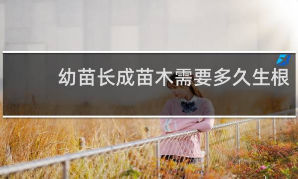 幼苗长成苗木需要多久生根