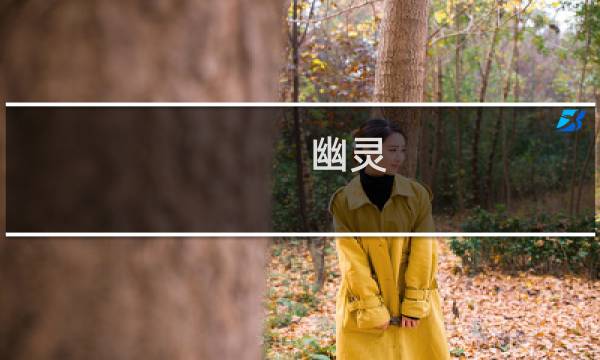 幽灵 攻略