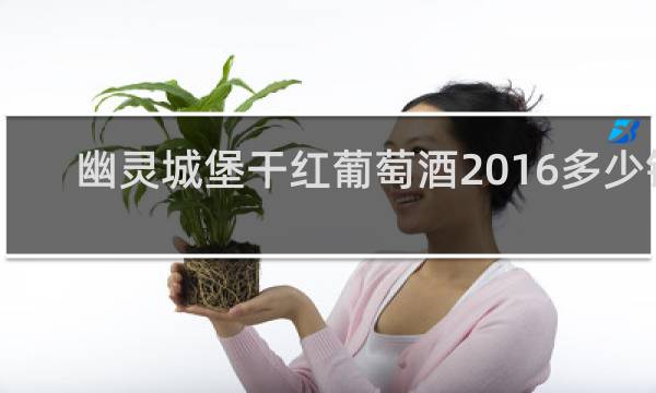 幽灵城堡干红葡萄酒2016多少钱