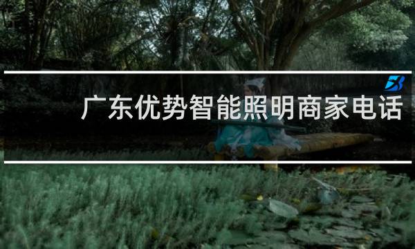 广东优势智能照明商家电话