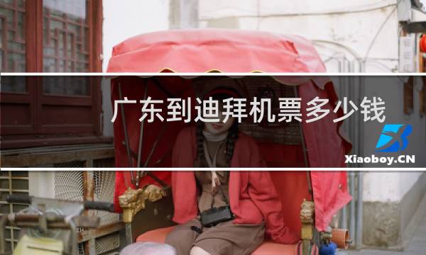 广东到迪拜机票多少钱