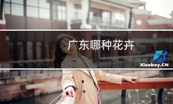 广东哪种花卉