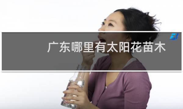 广东哪里有太阳花苗木