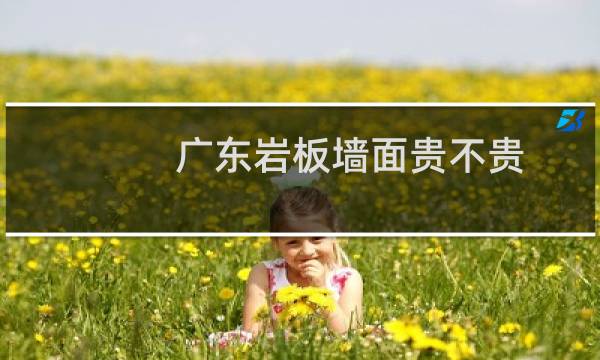 广东岩板墙面贵不贵