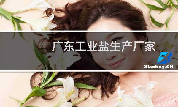广东工业盐生产厂家
