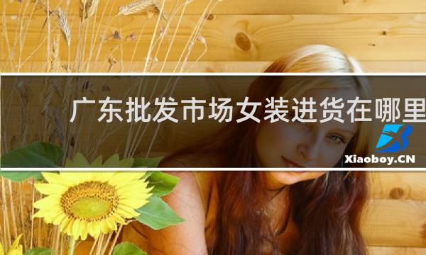 广东批发市场女装进货在哪里
