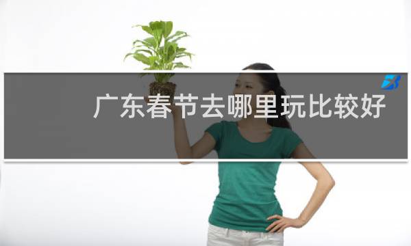 广东春节去哪里玩比较好