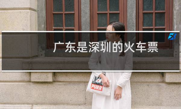 广东是深圳的火车票