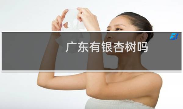 广东有银杏树吗