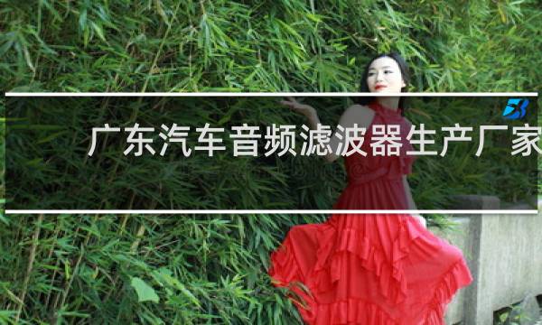 广东汽车音频滤波器生产厂家