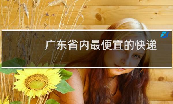 广东省内最便宜的快递