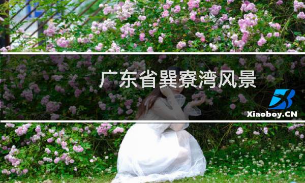 广东省巽寮湾风景