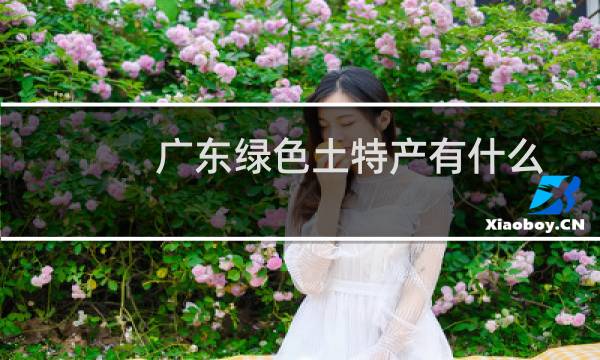 广东绿色土特产有什么